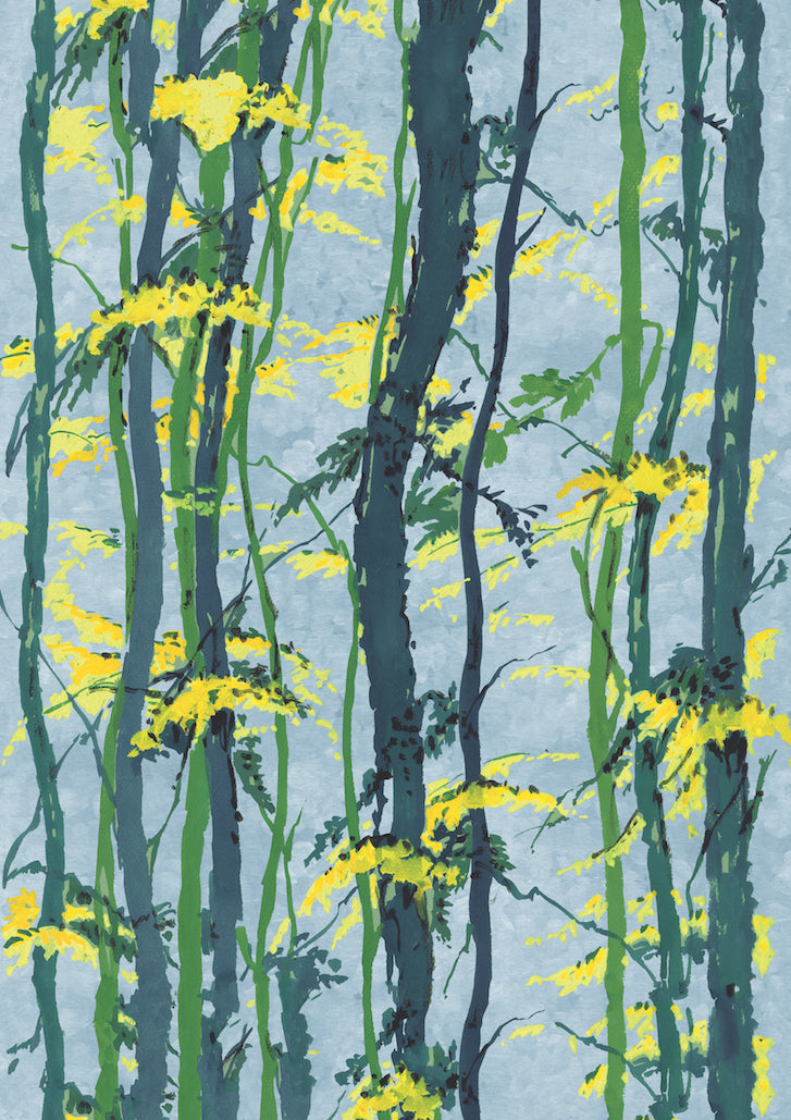No.040 - Acacia Woodlands - Vintage Archive Poster Prints
