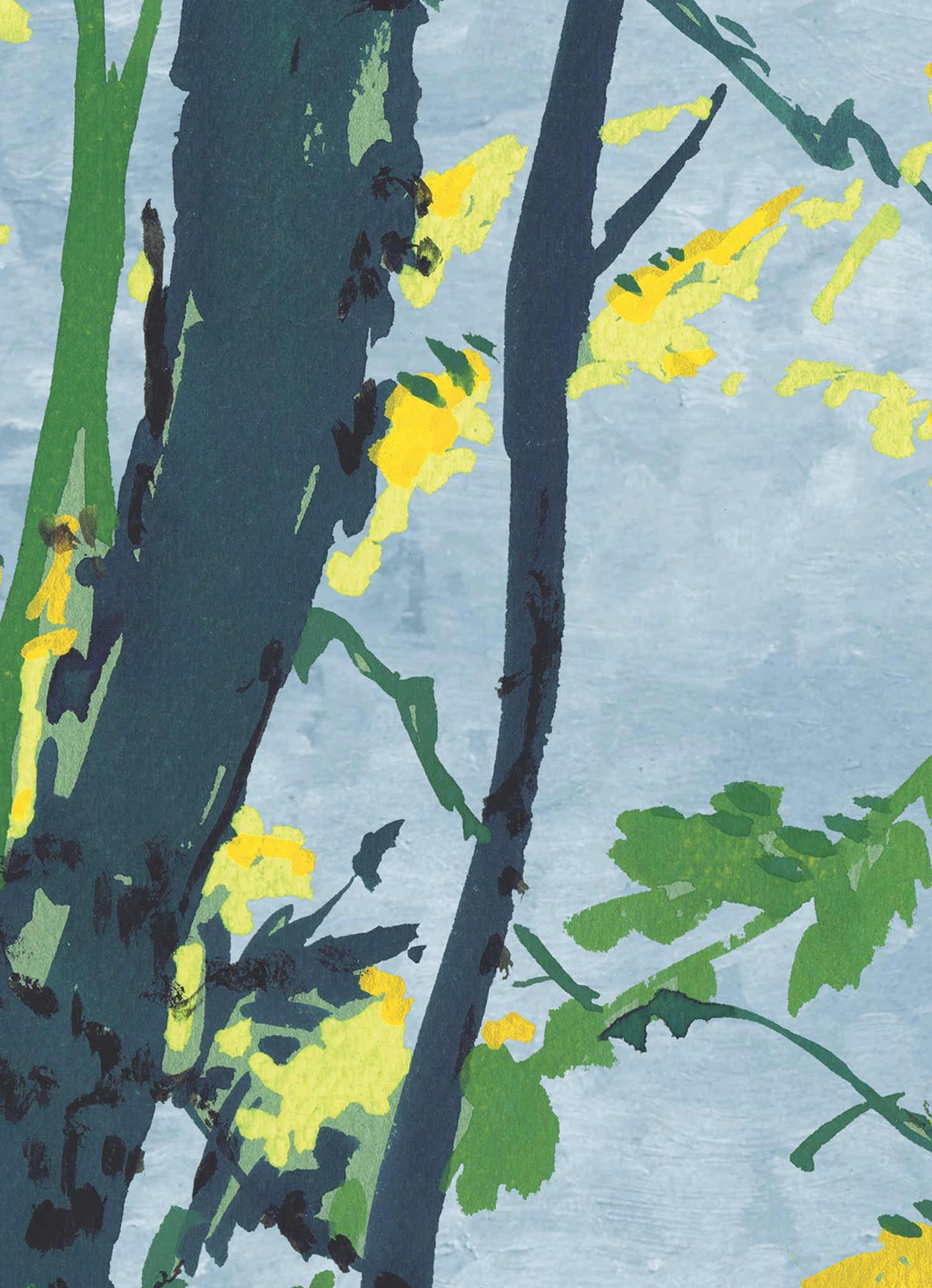 No.040 - Acacia Woodlands - Vintage Archive Poster Prints