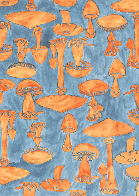 Funghi Friends - Vintage Archive Poster Prints