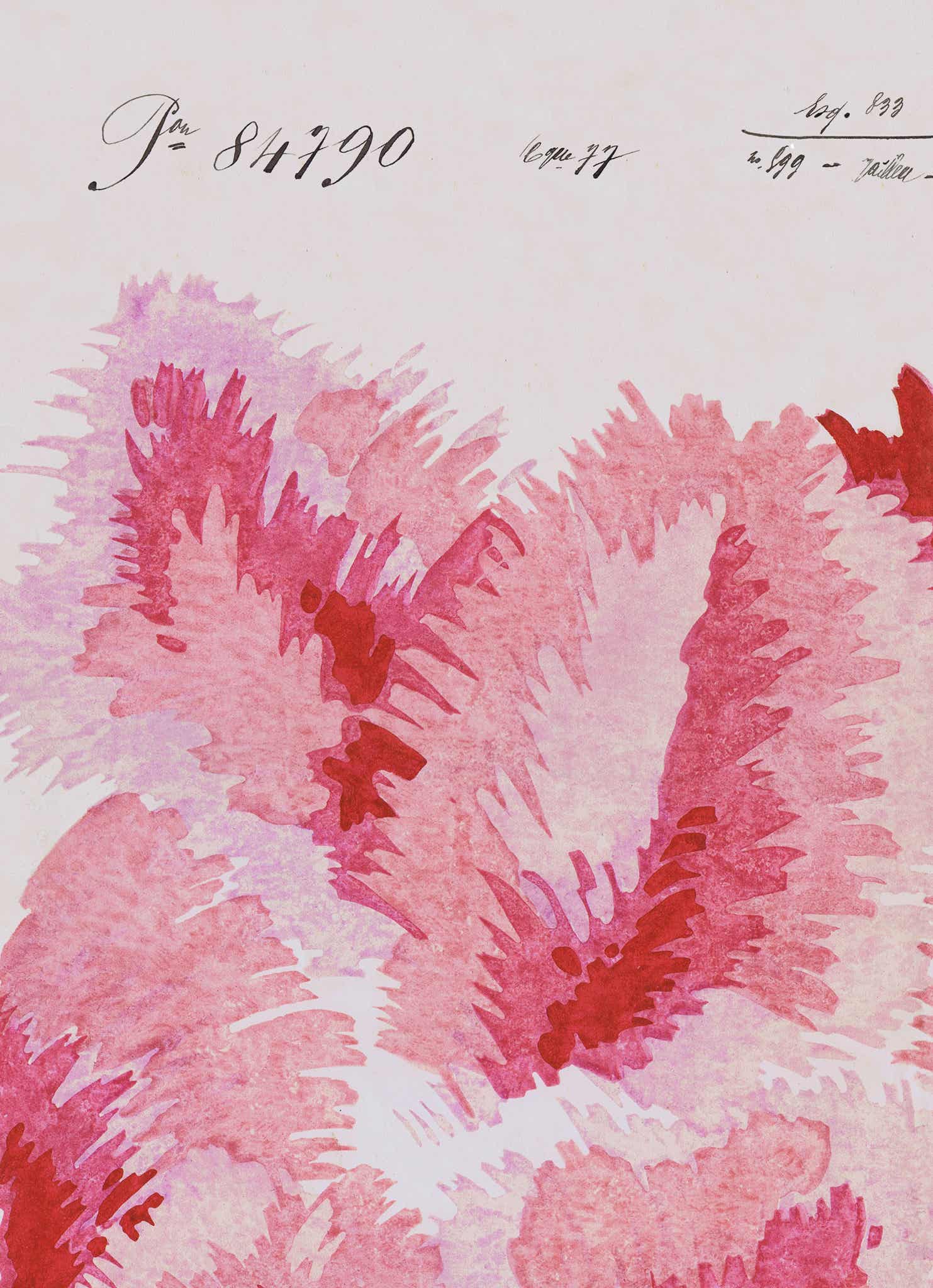 Venus Plumes - Vintage Archive Poster Prints