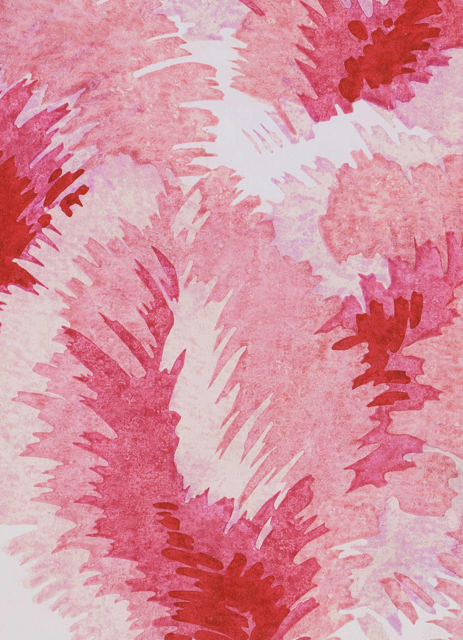 Venus Plumes - Vintage Archive Poster Prints