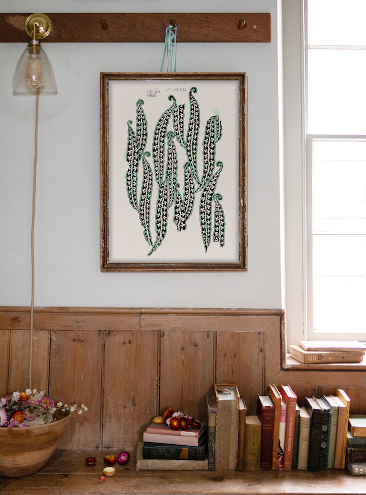 No.067 - Magic Beans II - Vintage Archive Poster Prints