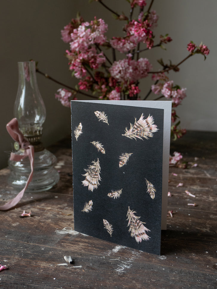 Peace Plumes - Art Cards