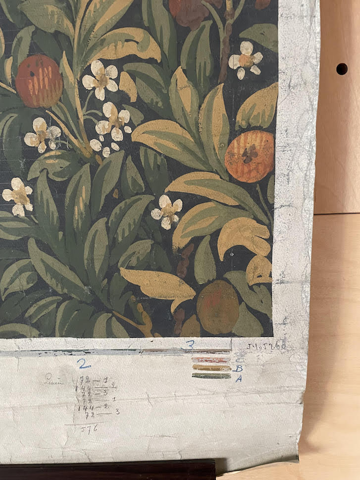 Orange Blossom