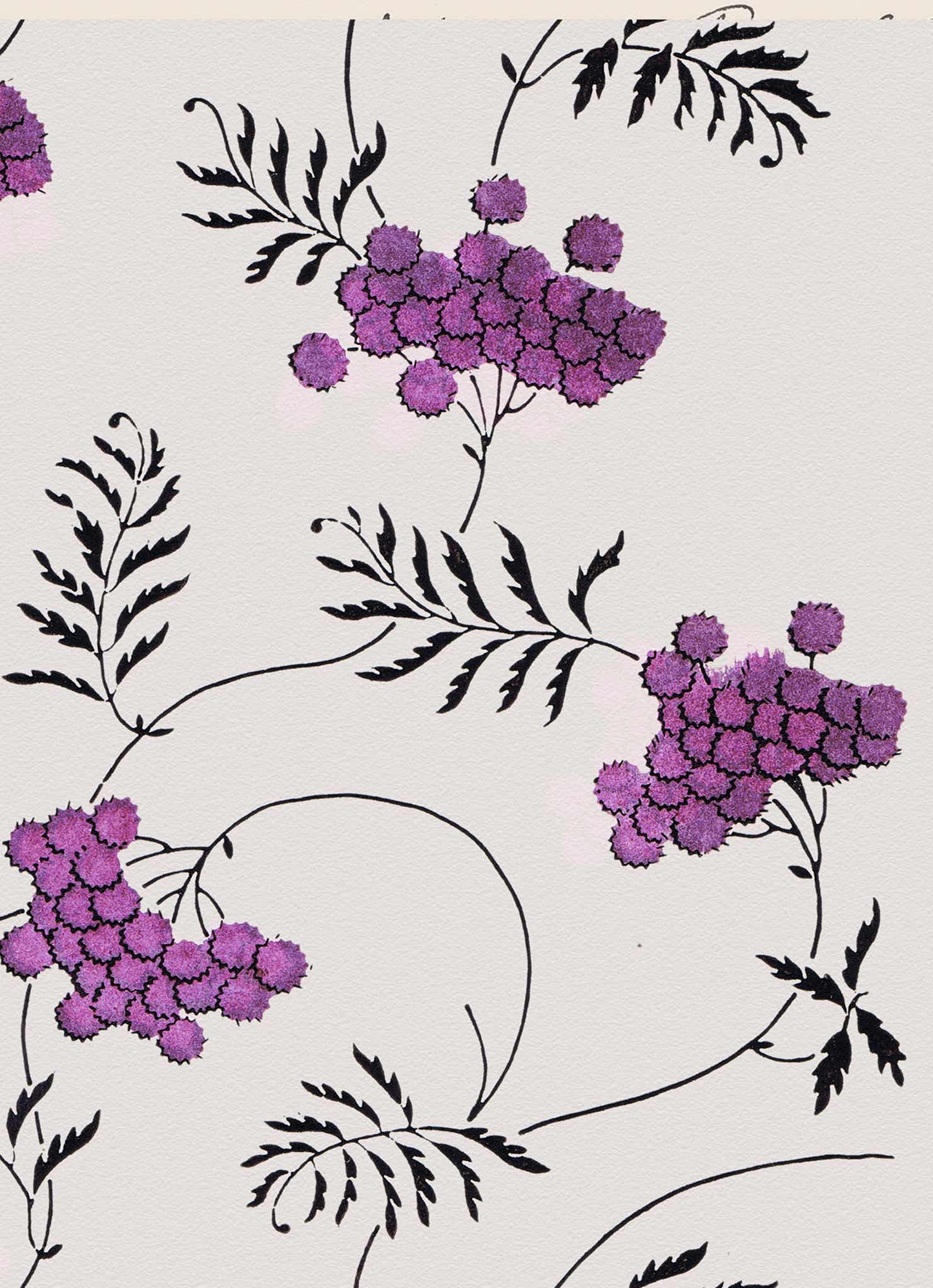 No.074 - Pom Pom - Vintage Archive Poster Prints