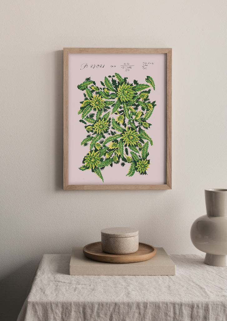 No.089 - Star Thistle - Vintage Archive Poster Prints
