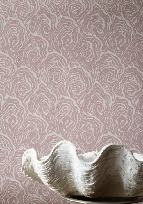 Oysters - in Venus Pink - Wallpaper