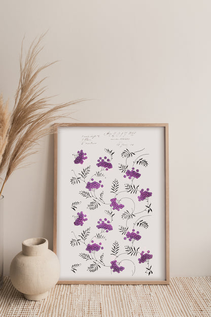 No.074 - Pom Pom - Vintage Archive Poster Prints